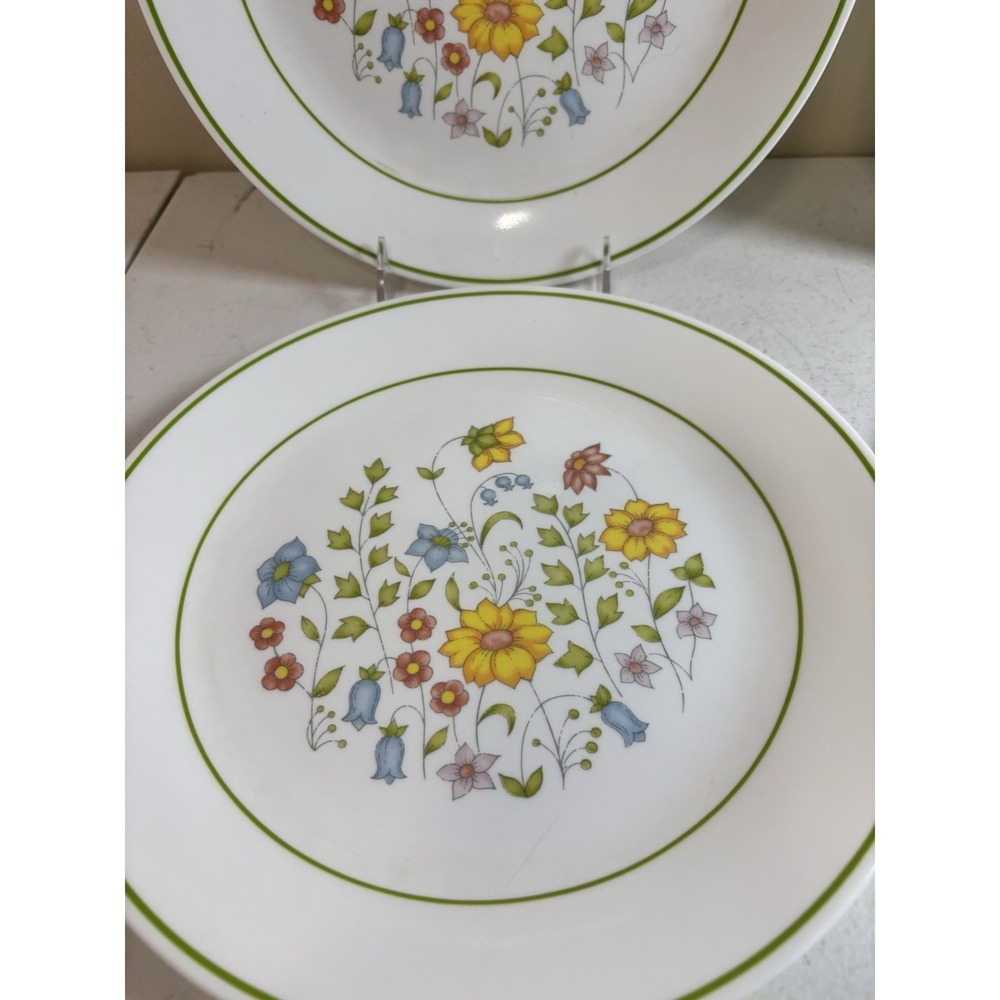 Corelle Spring Meadow 10.25" Dinner Plates Set of 4 Green Rim - Picture 2 of 7